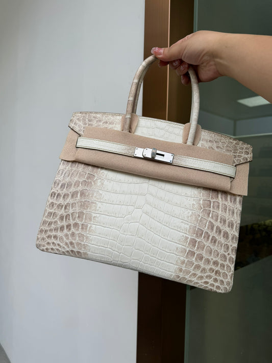 Hermes Brikin 30 Crocodile