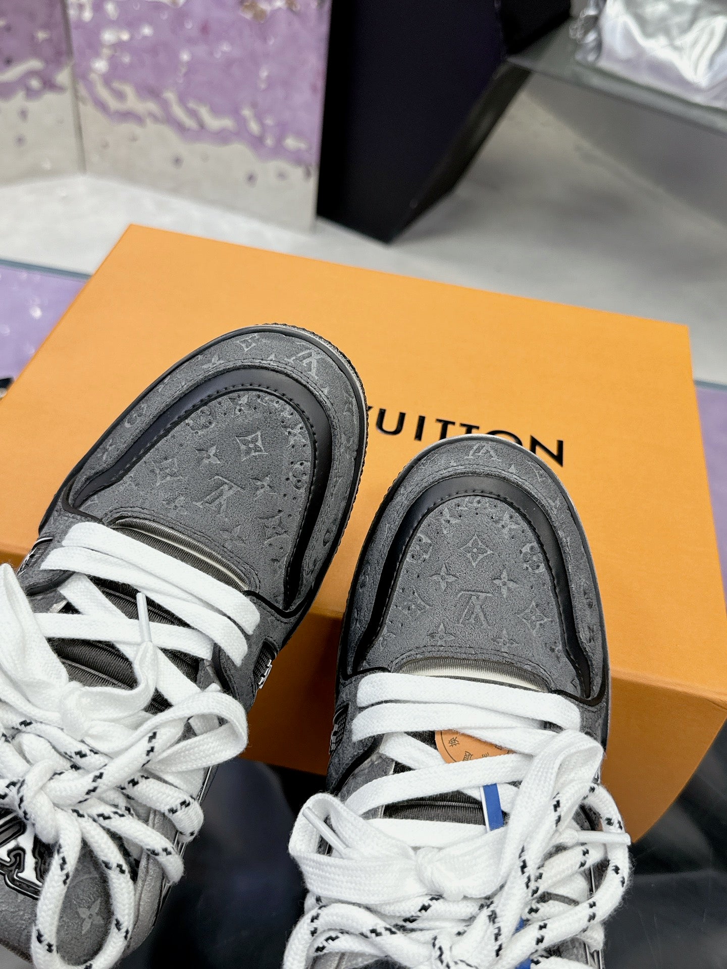 Louis Vuitton Trainer All Grey